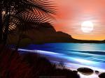 beach