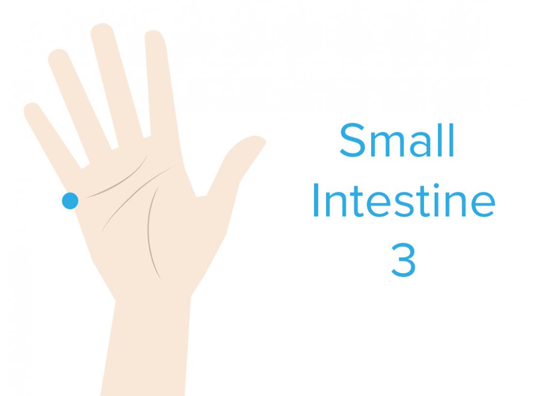 Small intestine 3 pressure point