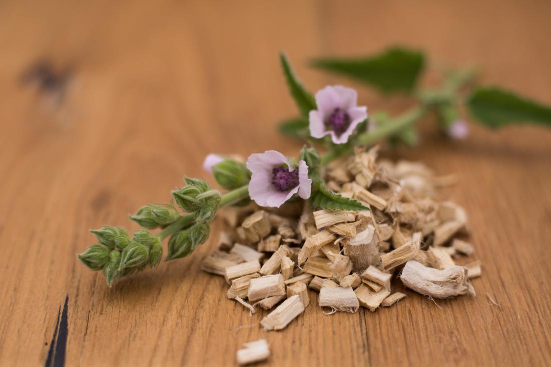 Marshmallow root and flower