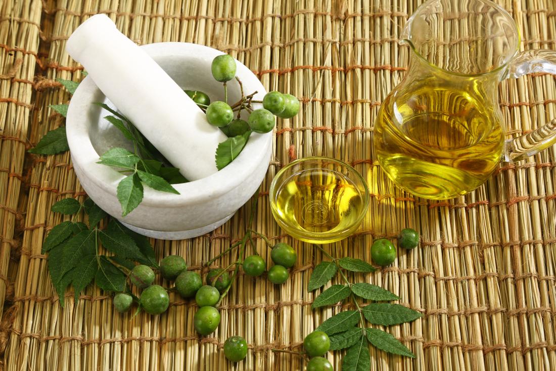 Neem plant and essential oil