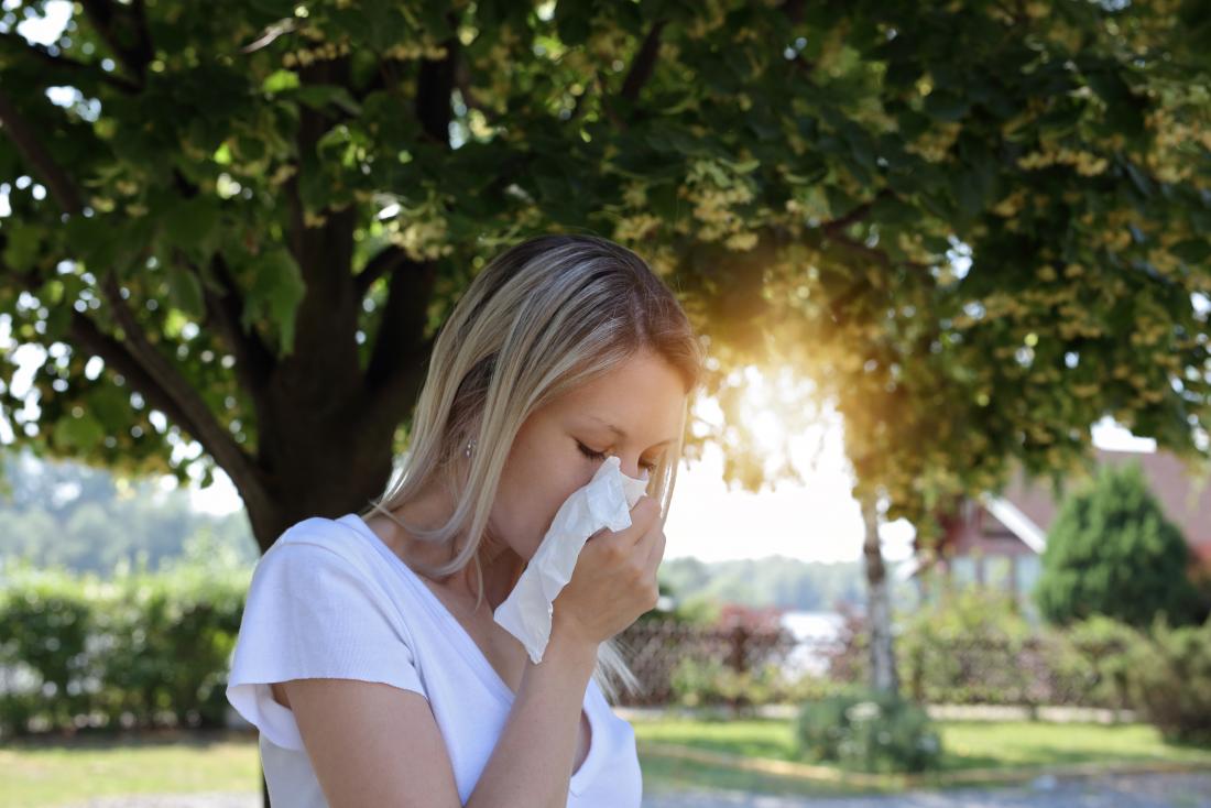 Stinging nettle may help treat seasonal allergies.