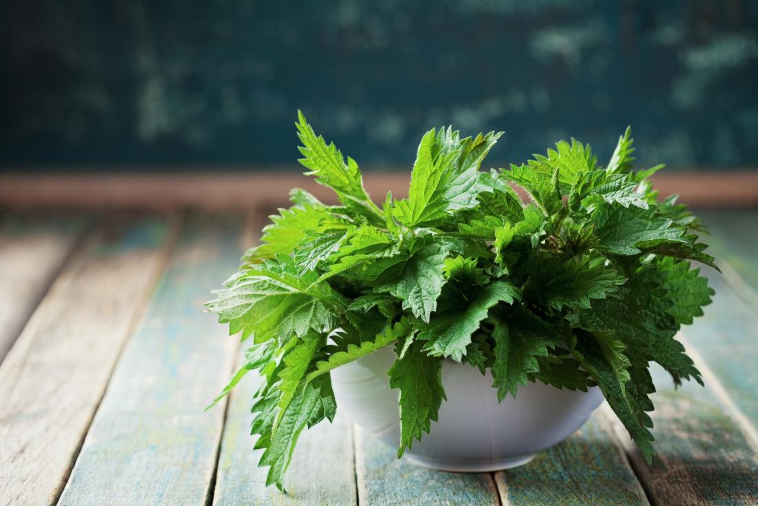 Stinging nettle leaves in a bowl on rustic table.