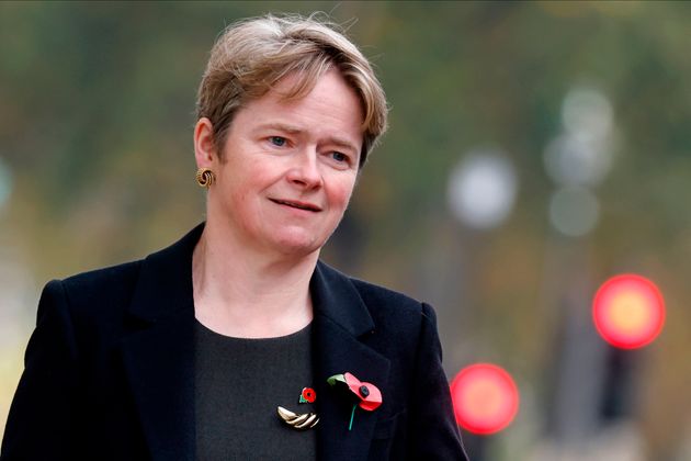 Ex-Test And Trace Chief Dido Harding Has Applied To Run The