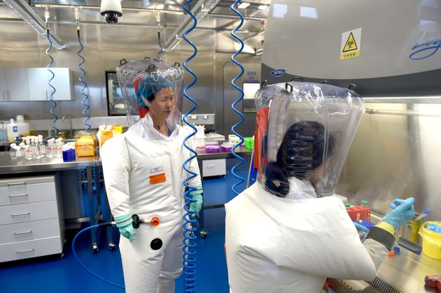 Scientists work at the Wuhan Institute of