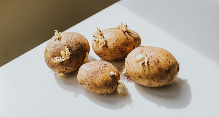 For an idea of what skin tags look like, think about the growths on these potatoes.