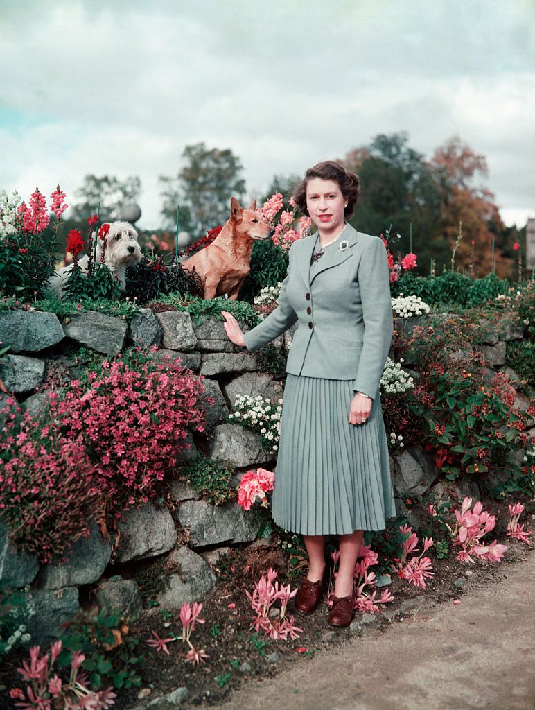 The Queen at Balmoral Castle with some of her beloved dogs in 1952