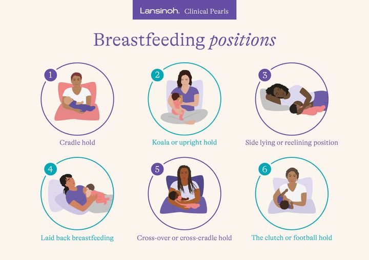 Breastfeeding positions illustrated.