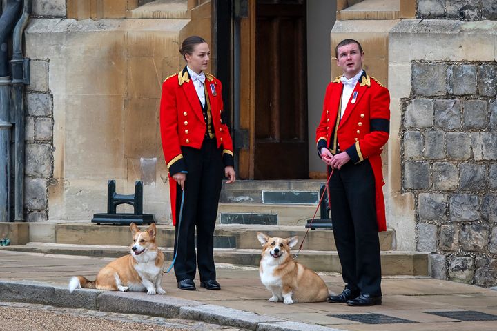 Members of the Royal Household stand with the queen's royal Corgis, Muick and Sandy, as they await the wait for the funeral cortege on Sept. 19, 2022, in Windsor.