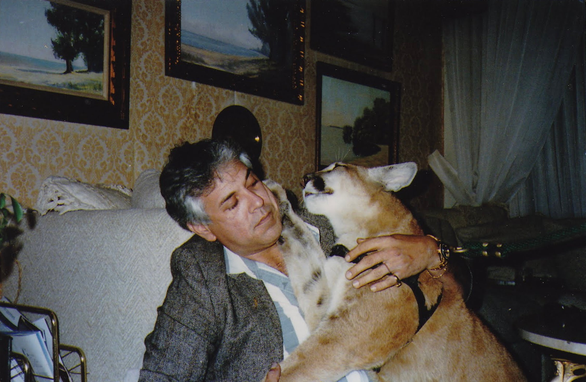 "Me with my mountain lion, Top Cat."