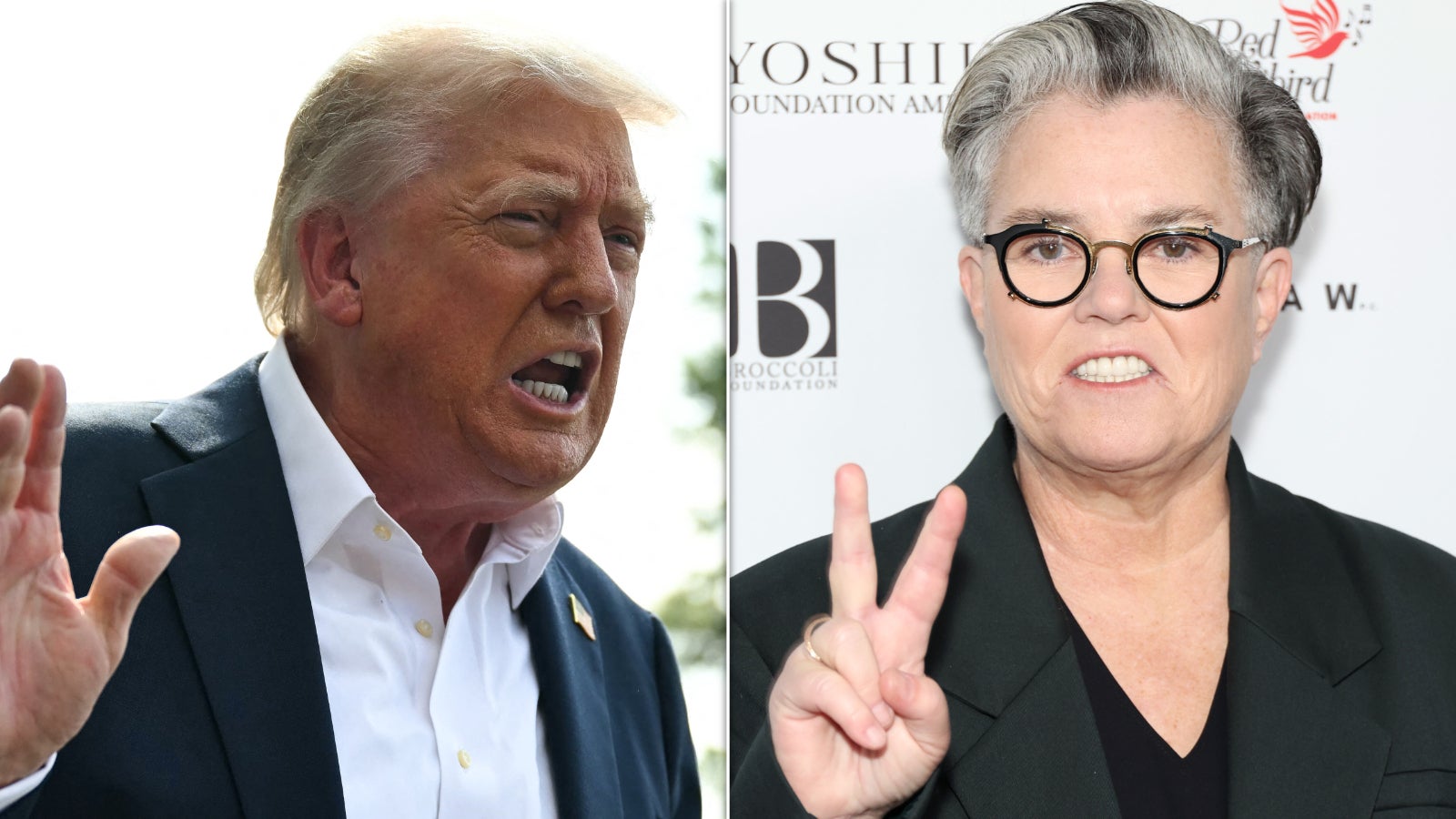 President Donald Trump and actor/comedian Rosie O'Donnell.