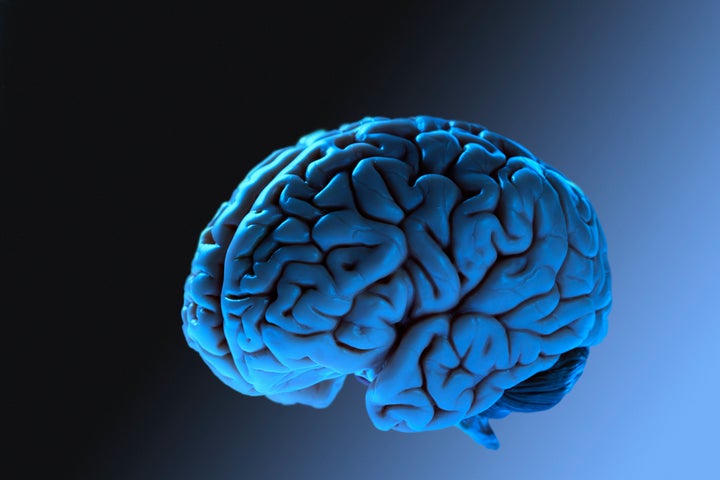 The brain does not reach adulthood until about age 32, according to a new study.
