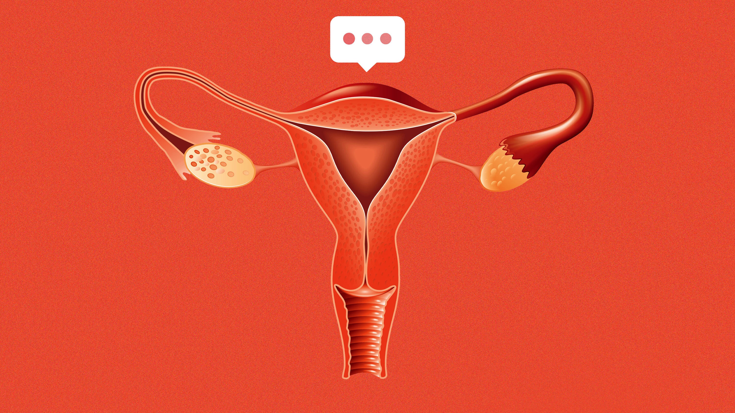 To conduct the study, which was recently published in the journal Sex Roles, the researchers surveyed 457 women from the United States, spanning from age 18 to 81. (The average age was around 37 years.)