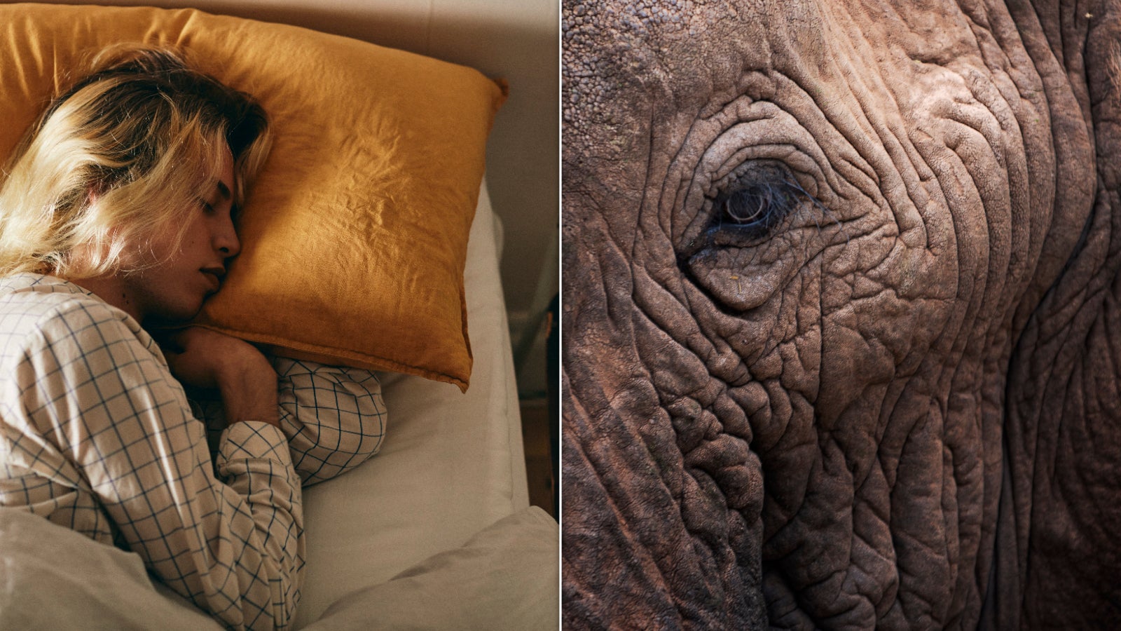 Side sleeping has been rumored for years to cause wrinkles.